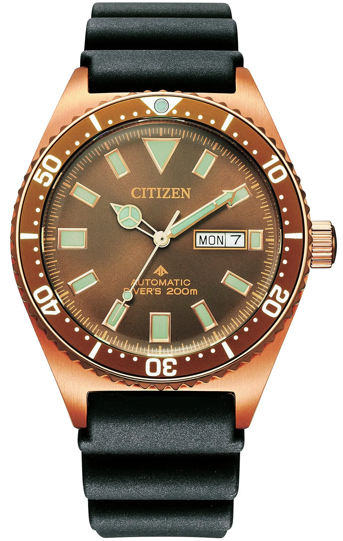 Citizen Promaster Dive Automatic Mens Watch