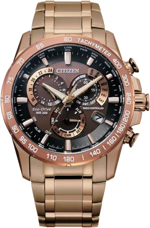 Citizen Promaster Perpetual Chrono A.T Eco Drive Mens Watch
