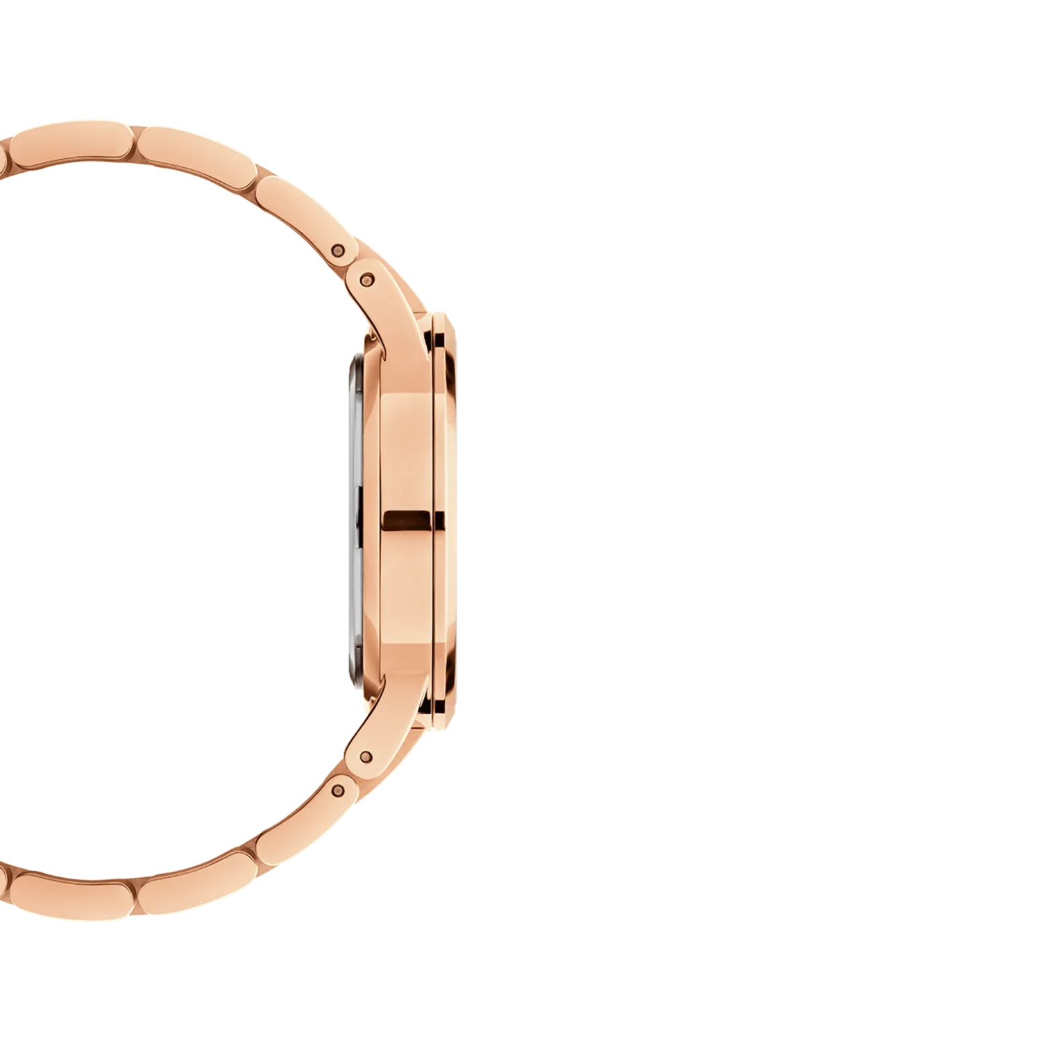 Daniel Wellington Iconic Link 36mm Watch DW00100210