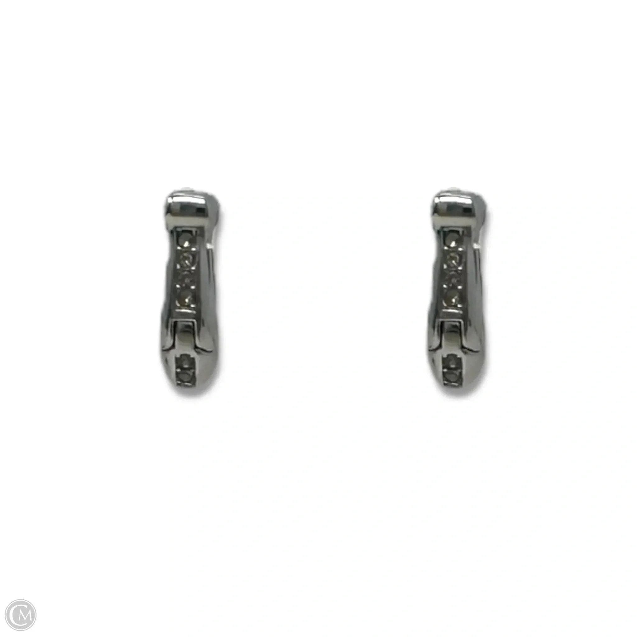 Earrings Designer By Coach coach