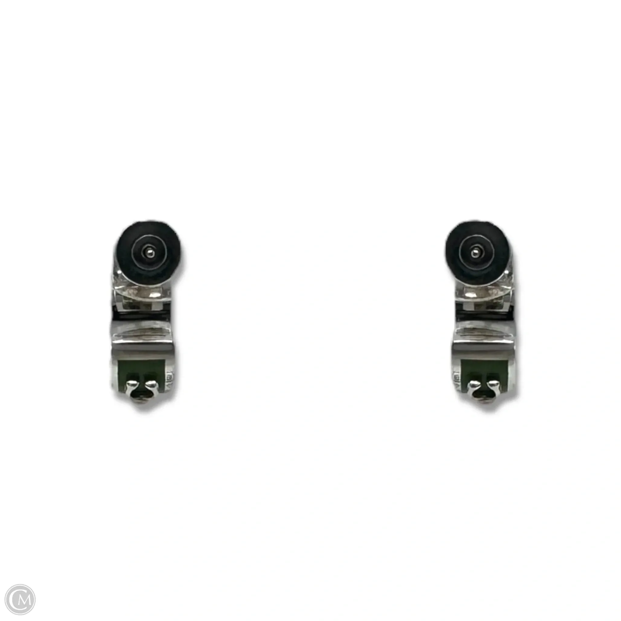 Earrings Designer By Coach coach