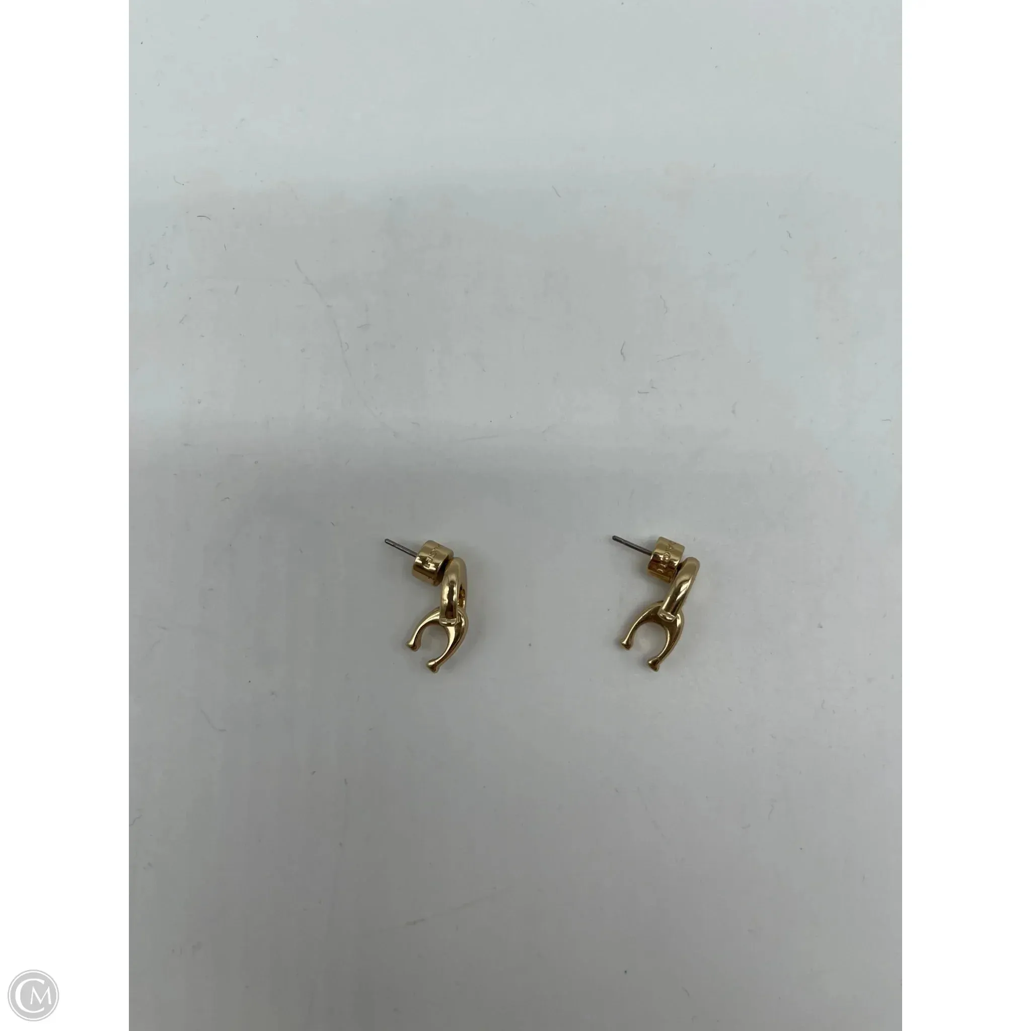 Earrings Designer By Coach coach