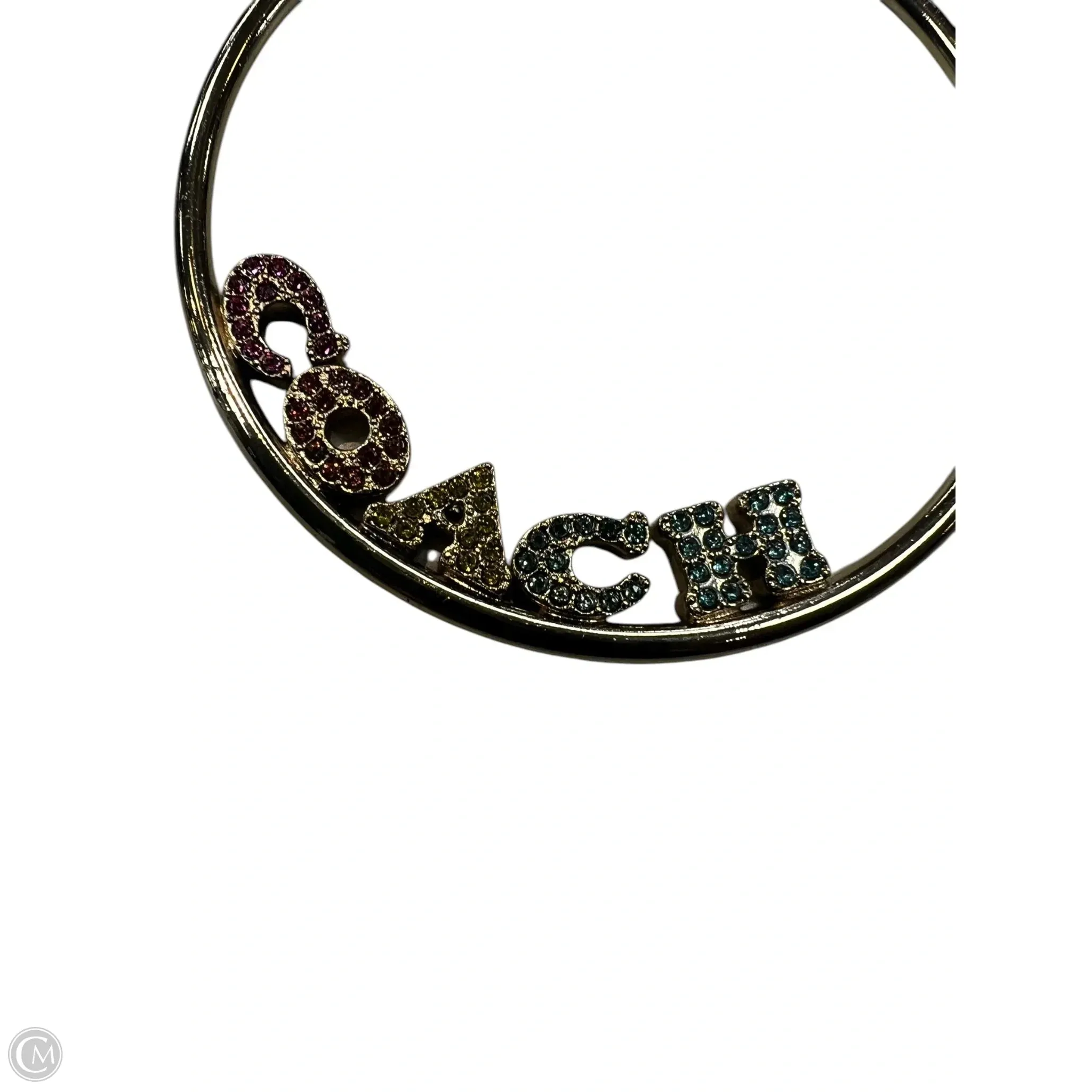 Earrings Designer By Coach coach