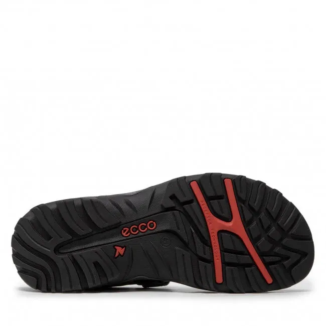 Ecco Offroad Lite M Men's ecco Shoes