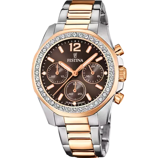 Festina Brown Dial Stainless Steel Women's Watch F20608/1