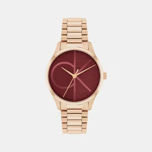 Iconic Unisex Burgundy Analog Stainless Steel Watch 25200347