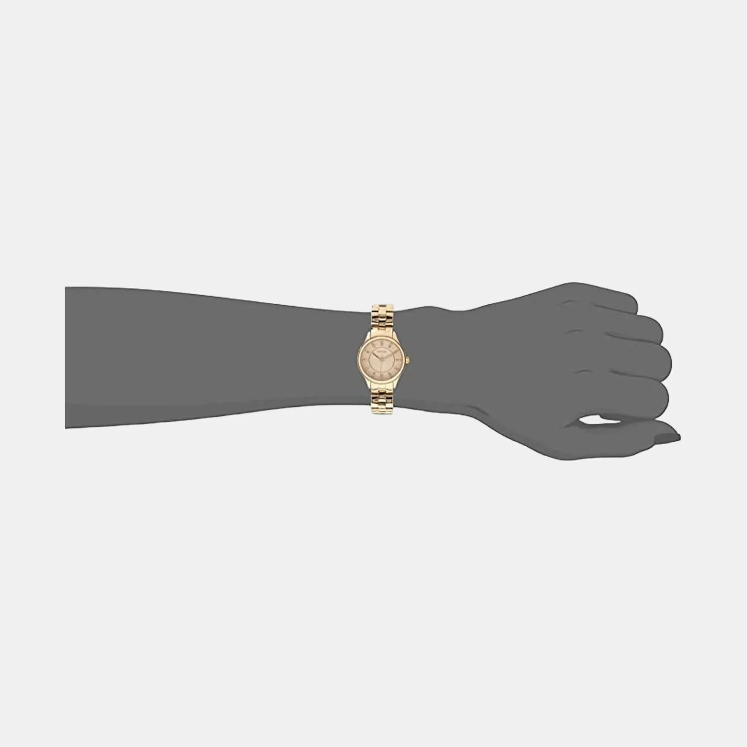 Modern Sophisticate Women Quartz Rose Gold Dial Analog Stainless Steel Watch BQ1571