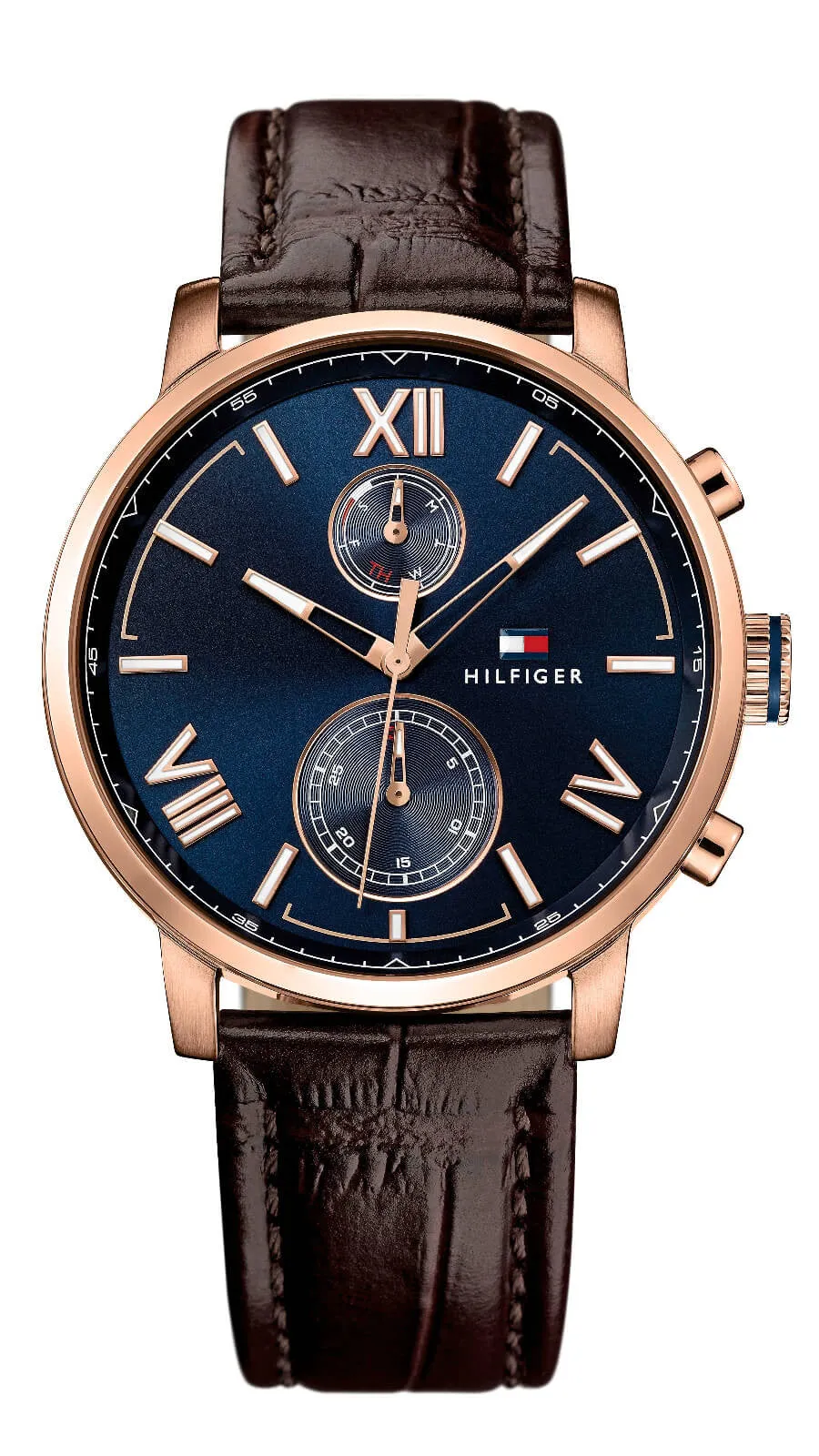 Montre Tommy Hilfiger Alden 1791308
