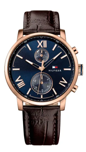 Montre Tommy Hilfiger Alden 1791308