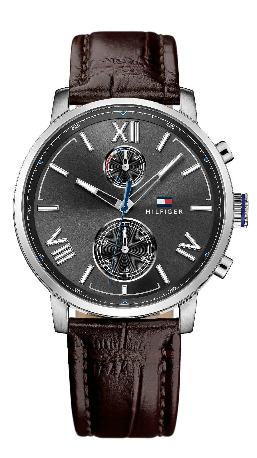 Montre Tommy Hilfiger Alden 1791309