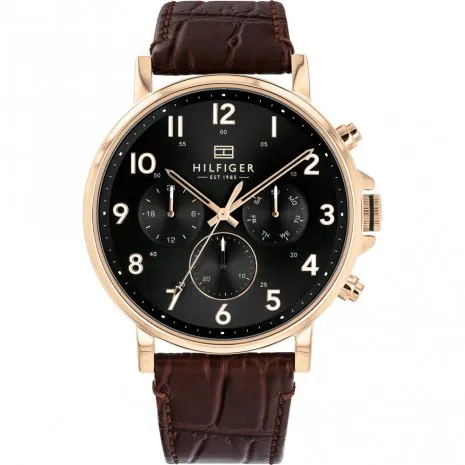 Montre Tommy Hilfiger Daniel 1710379