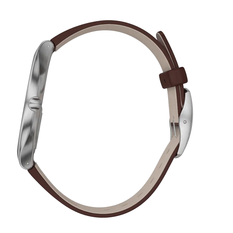 Orologio Swatch Skinbrushed