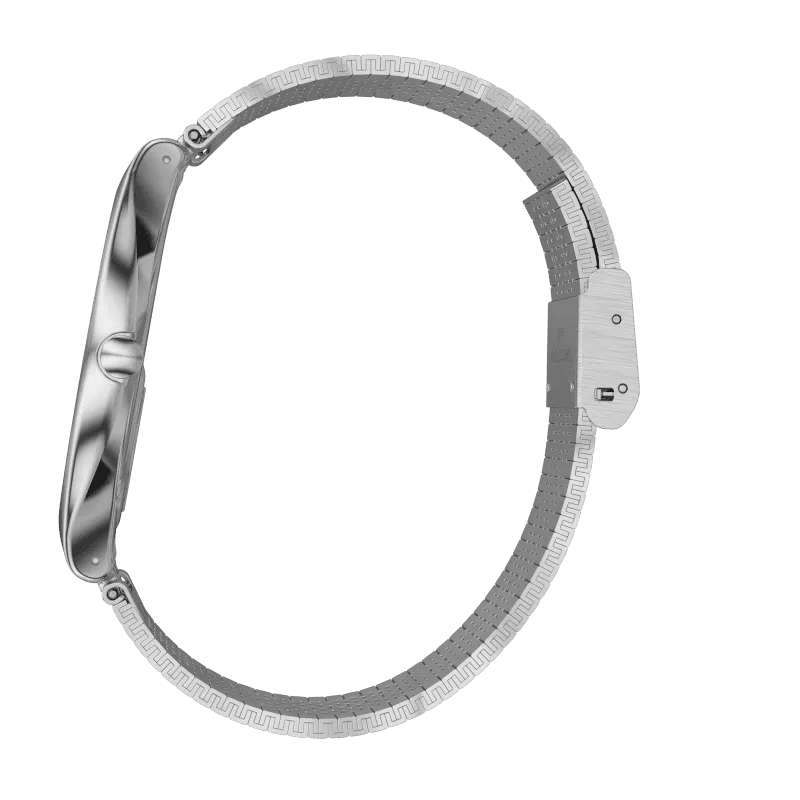 Orologio Swatch Skinpole Skin Irony