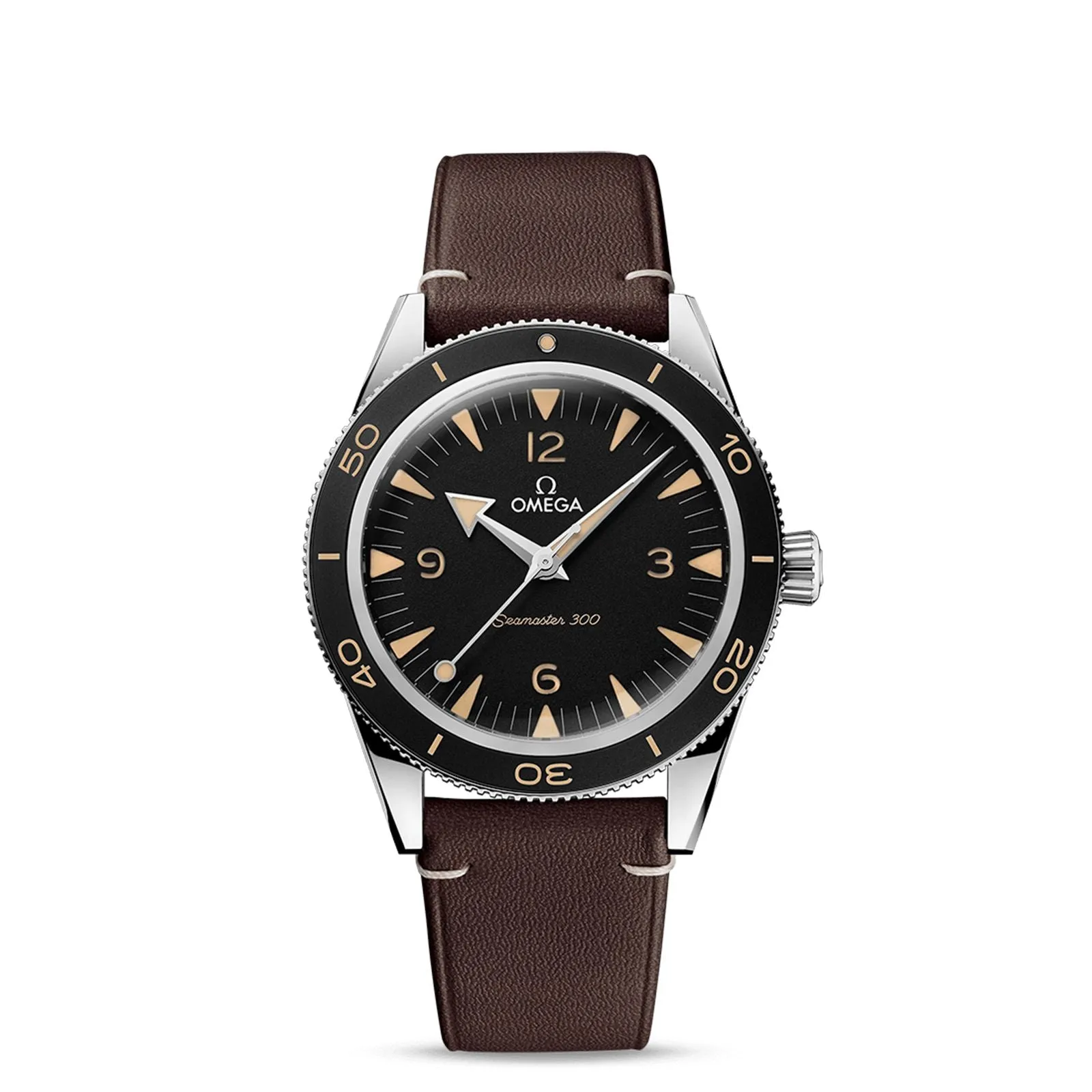 Seamaster 300 Co-Axial Master Chronometer 41mm 234.32.41.21.01.001