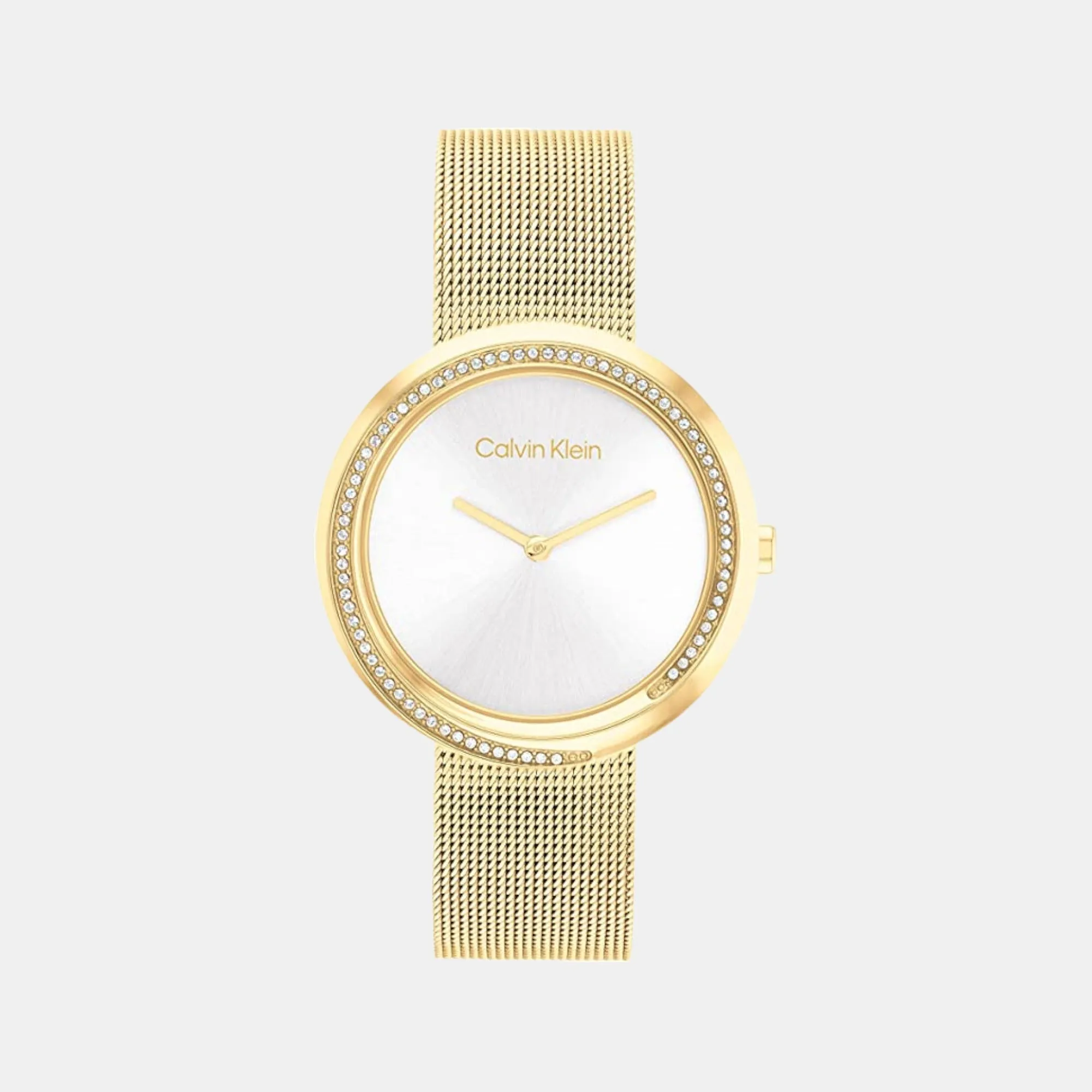 Women Analog Stainless Steel Watch 25200150