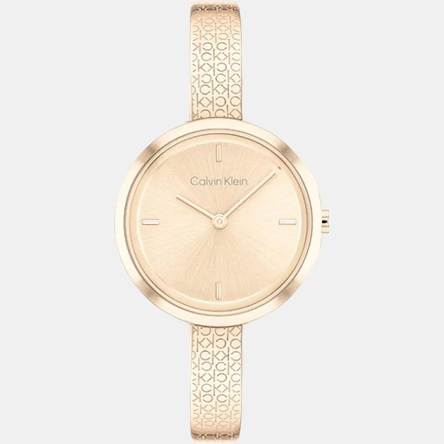 Women Analog Stainless Steel Watch 25200183