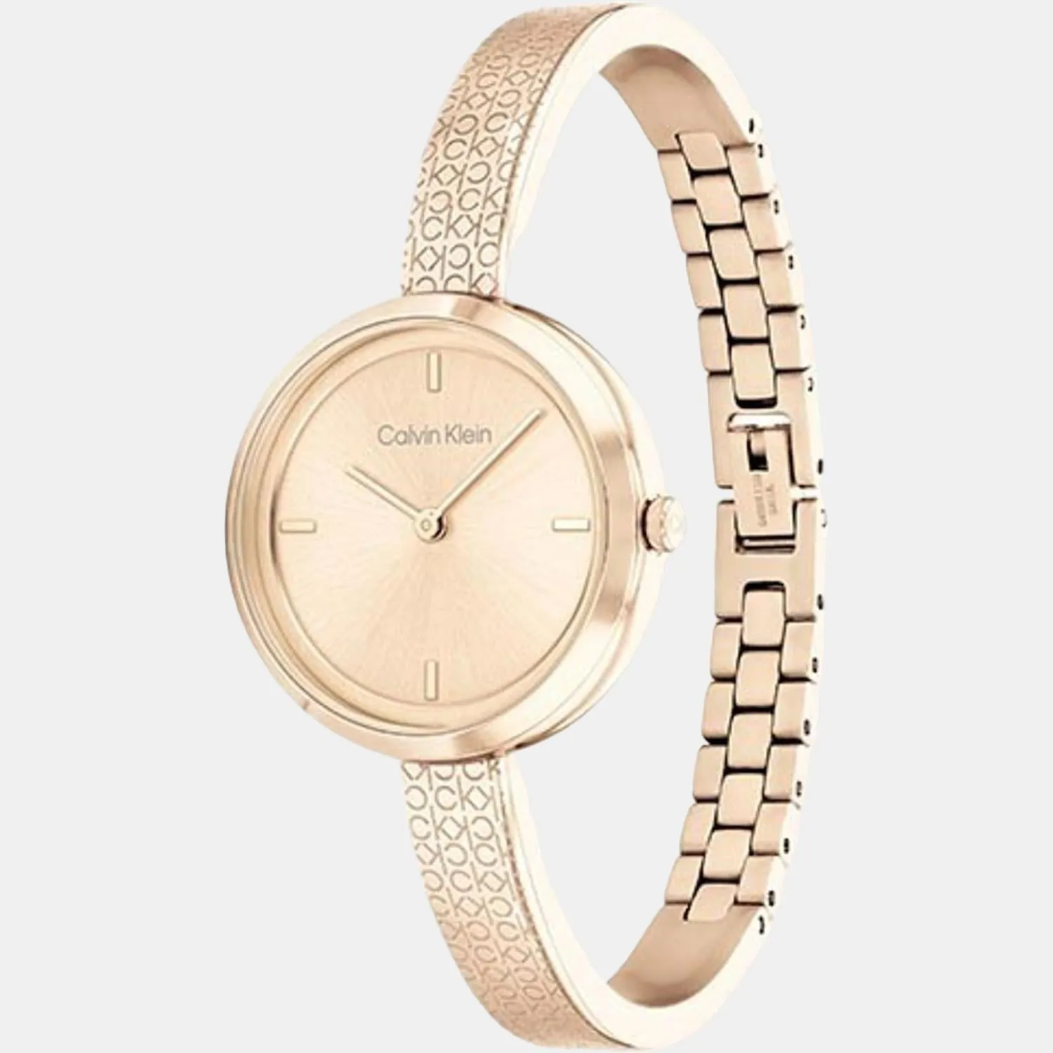 Women Analog Stainless Steel Watch 25200183