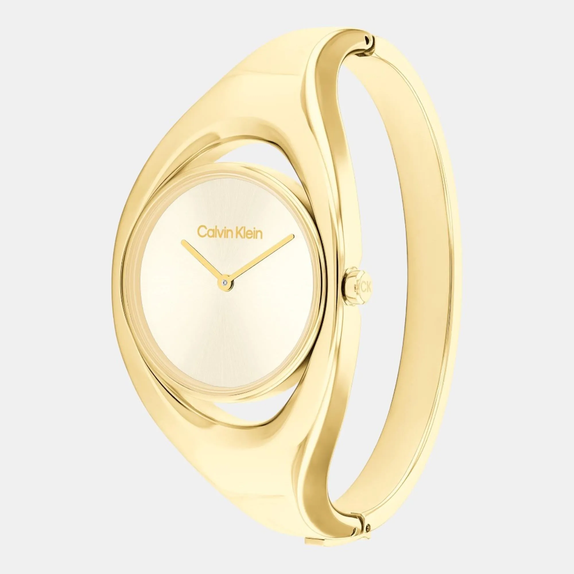 Women Quartz Analog Champagne Dial Stainless Steel Watch 25200391